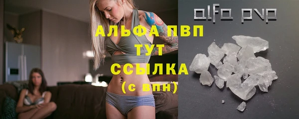 mdpv Богданович