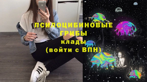 mdpv Богданович
