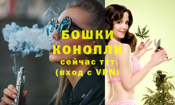 ALPHA-PVP Богородицк