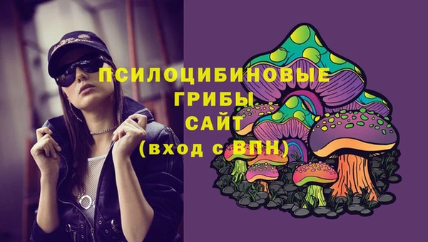 mdpv Богданович